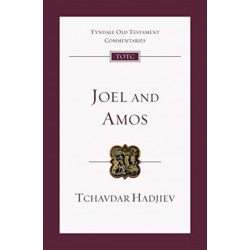Joel and Amos: An Introduction And Commentary
