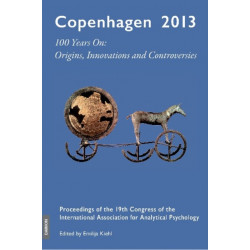 Copenhagen 2013: 100 Years on -- Origins, Innovations & Controversies