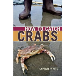 How to Catch Crabs