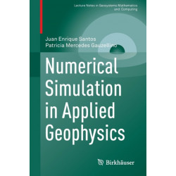 Numerical Simulation in Applied Geophysics