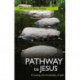 Pathway to Jesus: Crossing The Thresholds Of Faith