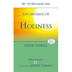 The Message of Holiness: Restoring God'S Masterpiece