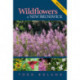 Wildflowers of New Brunswick: Field Guide