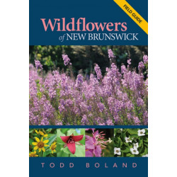 Wildflowers of New Brunswick: Field Guide