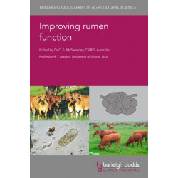 Improving Rumen Function