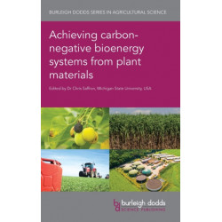 Achieving Carbon-Negative Bioenergy Systems from Plant Materials