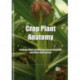 Crop Plant Anatomy