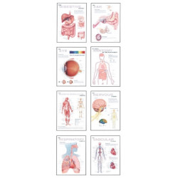 Human Anatomy Chart Pack