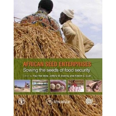 African Seed Enterprises: Sowing the Seeds of Food Security