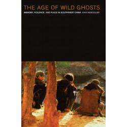 The Age of Wild Ghosts: Memory, Violence, and Place in Southwest China