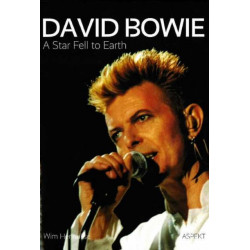 David Bowie: A Star Fell to Earth