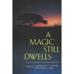 A Magic Still Dwells: Comparative Religion in the Postmodern Age