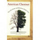 American Chestnut: The Life, Death, and Rebirth of a Perfect Tree