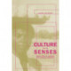 Culture and the Senses: Bodily Ways of Knowing in an African Community