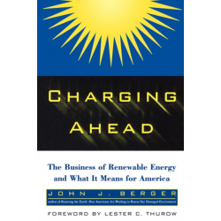 Charging Ahead: The Business of Renewable Energy and What It Means for America