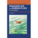 Dragonflies and Damselflies of California