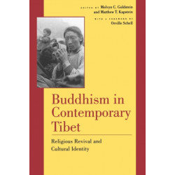 Buddhism in Contemporary Tibet: Religious Revival and Cultural Identity