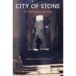 City of Stone: The Hidden History of Jerusalem