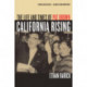 California Rising: The Life and Times of Pat Brown