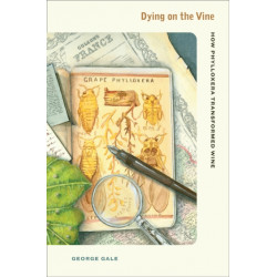 Dying on the Vine: How Phylloxera Transformed Wine