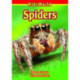 Spiders