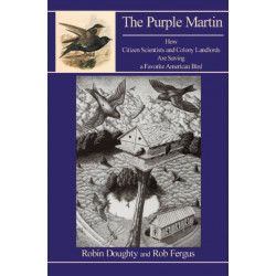 Purple Martin: How Citizen Scientists & Colony Landlords Are Saving a Favorite American Bird