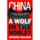 China: A Wolf in the World?