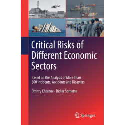 Critical  Risks of Different Economic Sectors: Based on the Analysis of More Than 500 Incidents, Accidents and Disasters