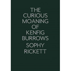 The Curious Moaning of Kenfig Burrows