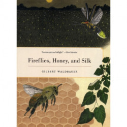 Fireflies, Honey, and Silk