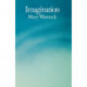 Imagination