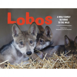 Lobos: A Wolf Family Returns to the Wild
