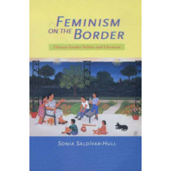 Feminism on the Border: Chicana Gender Politics and Literature
