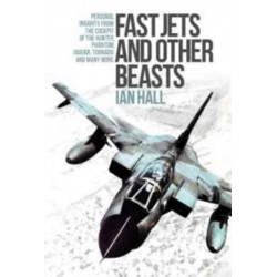 Fast Jets and Other Beasts: Personal insights from the cockpit of the Hunter, Phantom, Jaguar, Tornado and many more