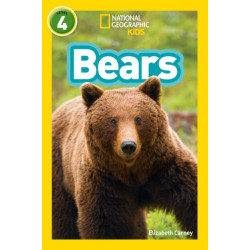 Bears: Level 4