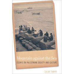 Mountain against the Sea: Essays on Palestinian Society and Culture