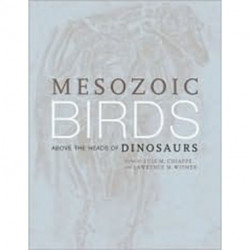 Mesozoic Birds: Above the Heads of Dinosaurs