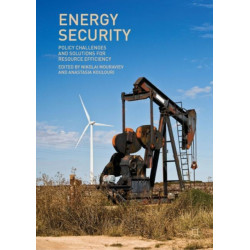 Energy Security: Policy Challenges and Solutions for Resource Efficiency
