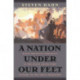 A Nation under Our Feet: Black Political Struggles in the Rural South from Slavery to the Great Migration