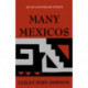 Many Mexicos