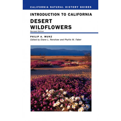 Introduction to California Desert Wildflowers