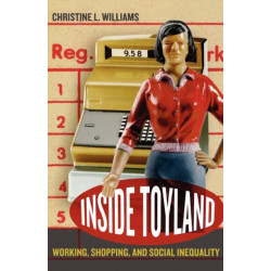 Inside Toyland: Working, Shopping, and Social Inequality