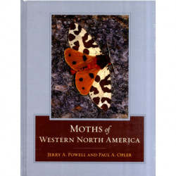 Moths of Western North America
