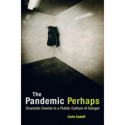 The Pandemic Perhaps: Dramatic Events in a Public Culture of Danger