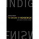The Origins of Indigenism: Human Rights and the Politics of Identity
