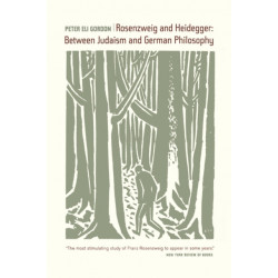 Rosenzweig and Heidegger: Between Judaism and German Philosophy