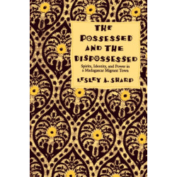 The Possessed and the Dispossessed: Spirits, Identity, and Power in a Madagascar Migrant Town