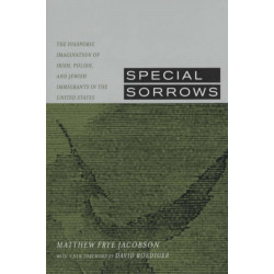 Special Sorrows: The Diasporic Imagination of Irish, Polish, and Jewish Immigrants in the United States