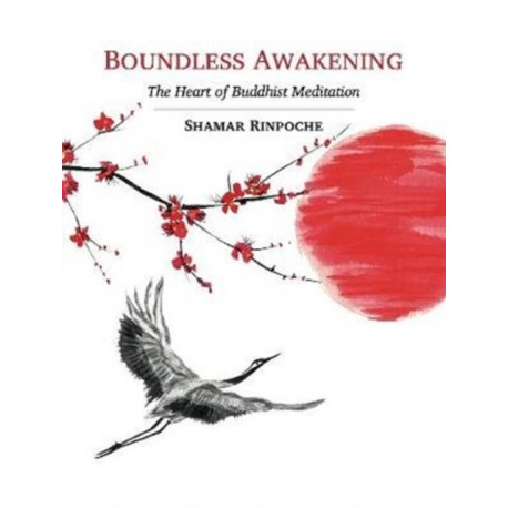 Boundless Awakening: The Heart of Buddhist Meditation