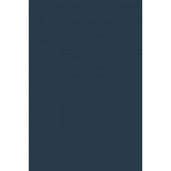 The Works of John Dryden, Volume IX: Plays: The Indian Emperour, Secret Love, Sir Martin Mar-all